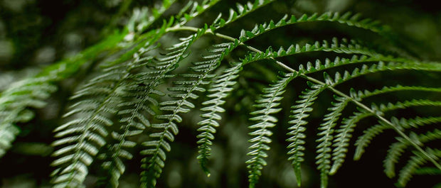 <h2>Nachhaltige Bekleidung? Liegt uns am Herzen</h2>